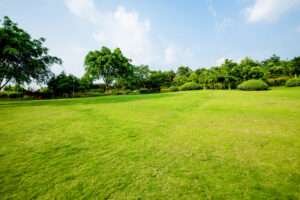 lawn care service