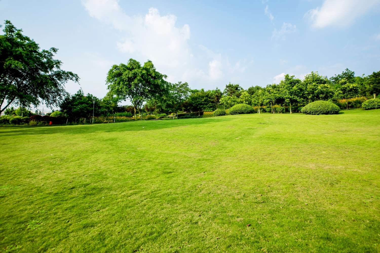 lawn care service