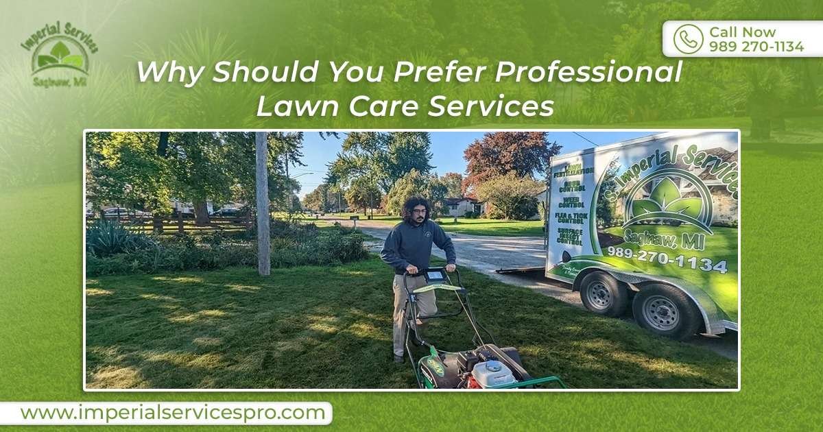 lawn care